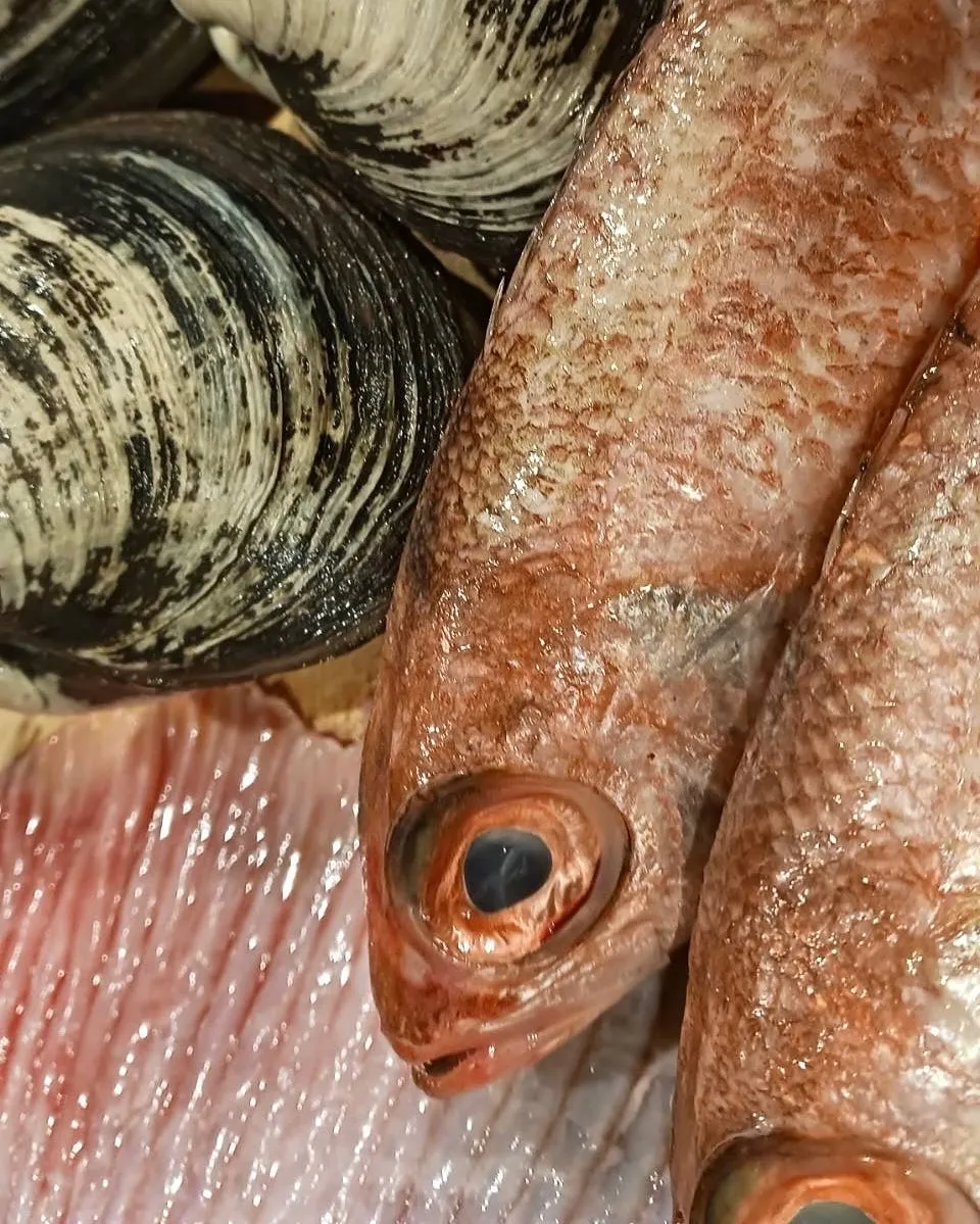 本日も新鮮なもの色々入荷しております！