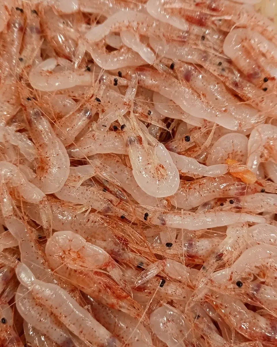 本日も新鮮なもの色々入荷しております！