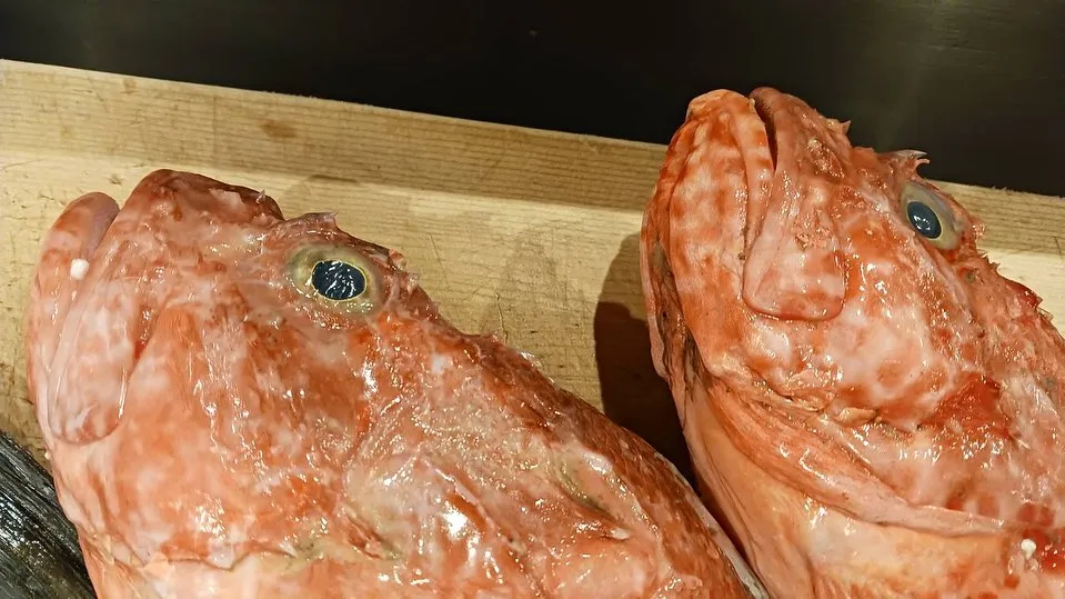 本日も色々入荷しております！