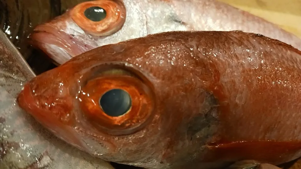 本日も新鮮な食材色々入荷しております！