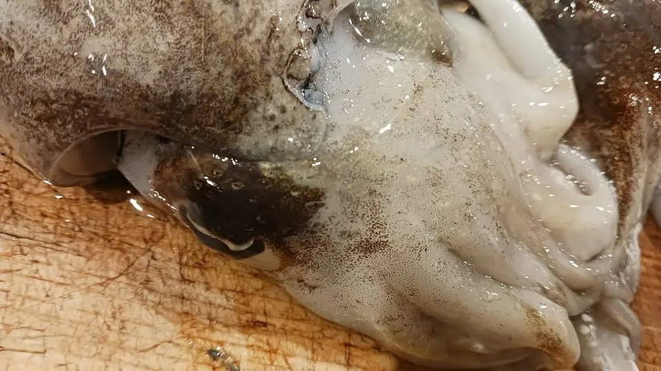 本日も新鮮な食材色々入荷しております！