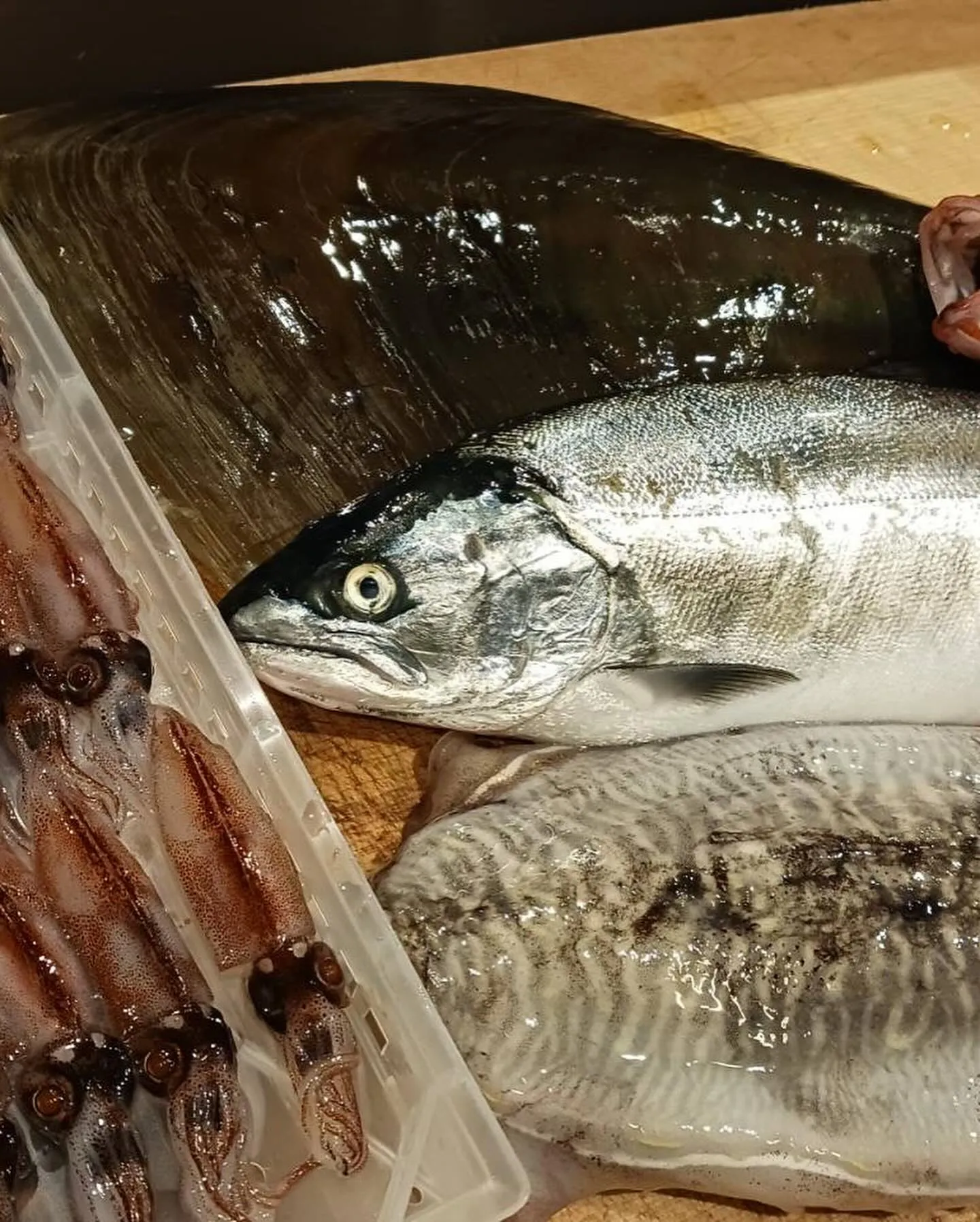 【炙り北海ダコとウドのぬた和え】