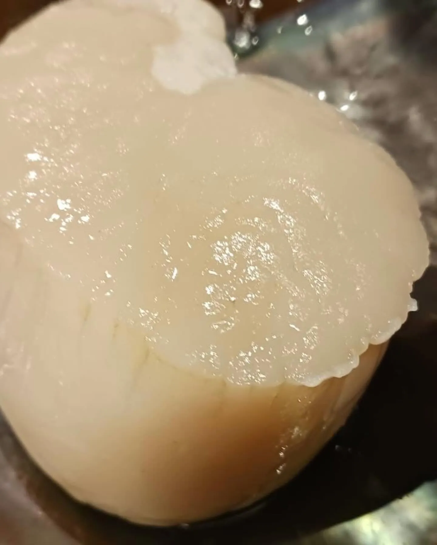 【炙り北海ダコとウドのぬた和え】