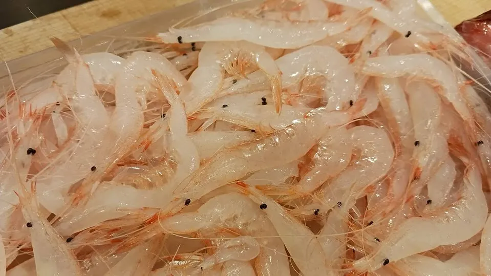 5月になりました🌿‬