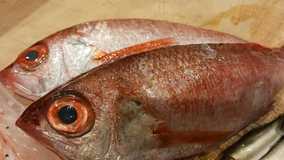 5月になりました🌿‬