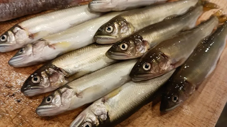 5月になりました🌿‬