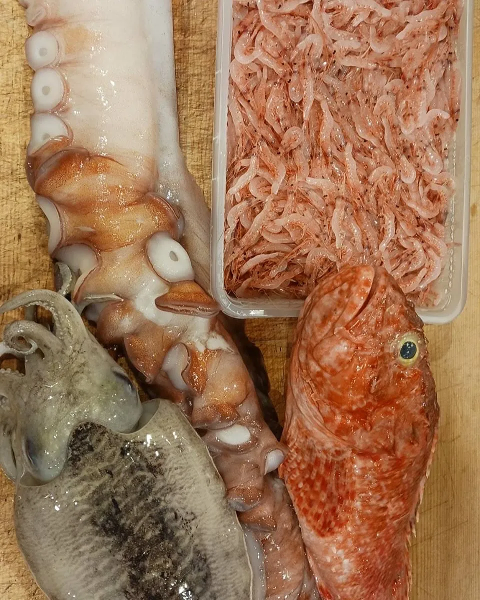 GW後半戦、休まず営業します！