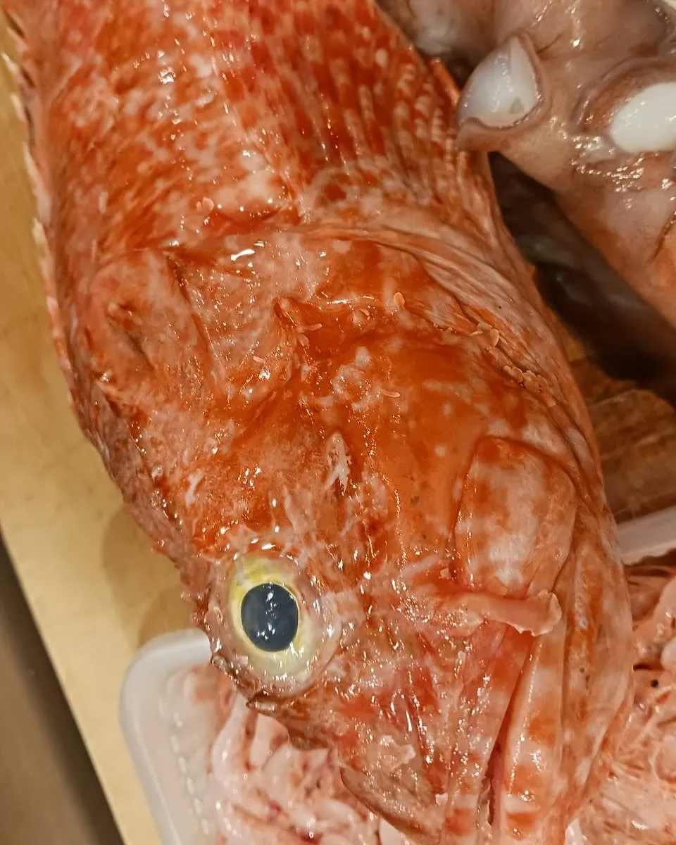 GW後半戦、休まず営業します！