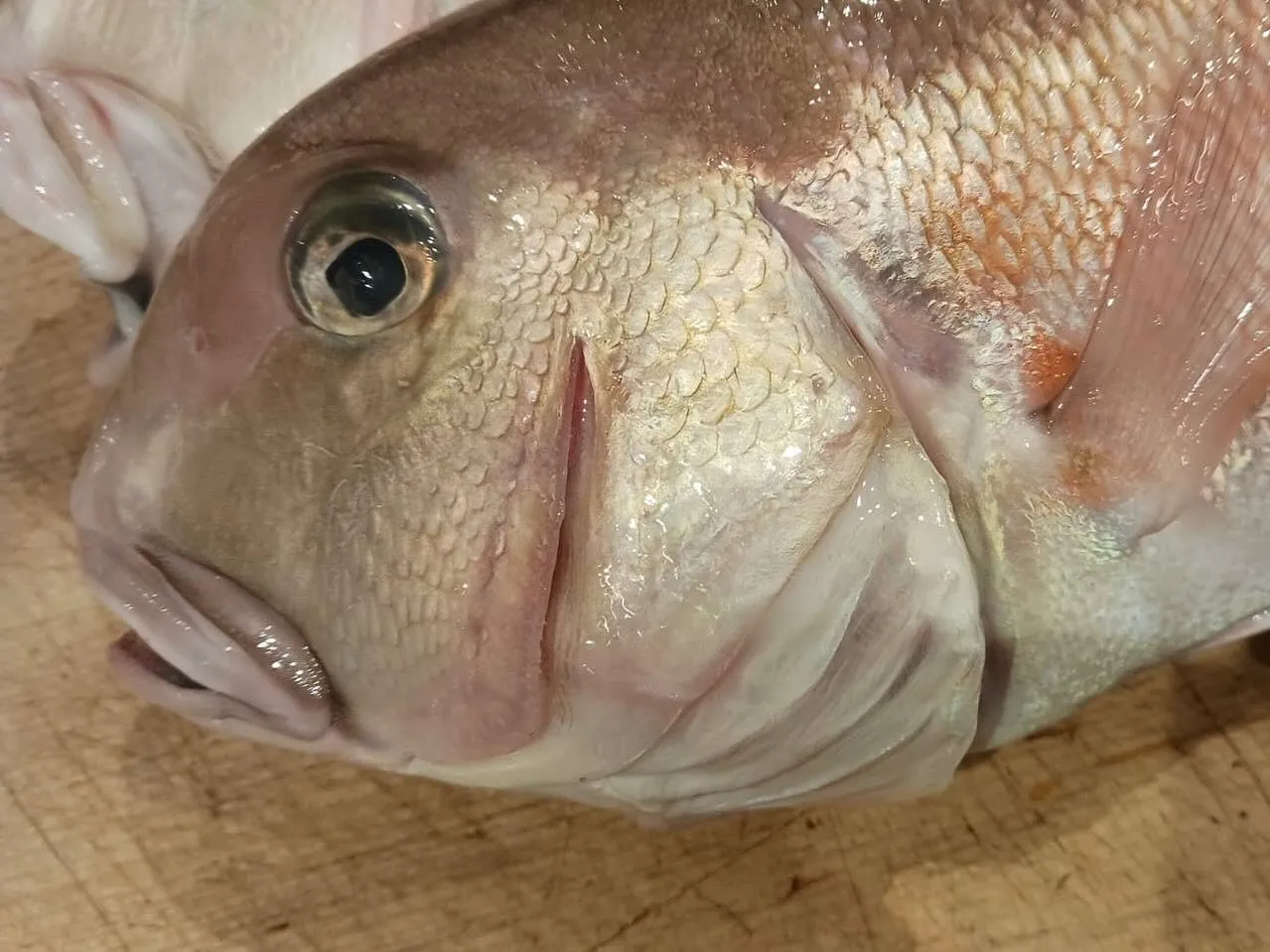 【稚鮎と季節野菜の天婦羅】