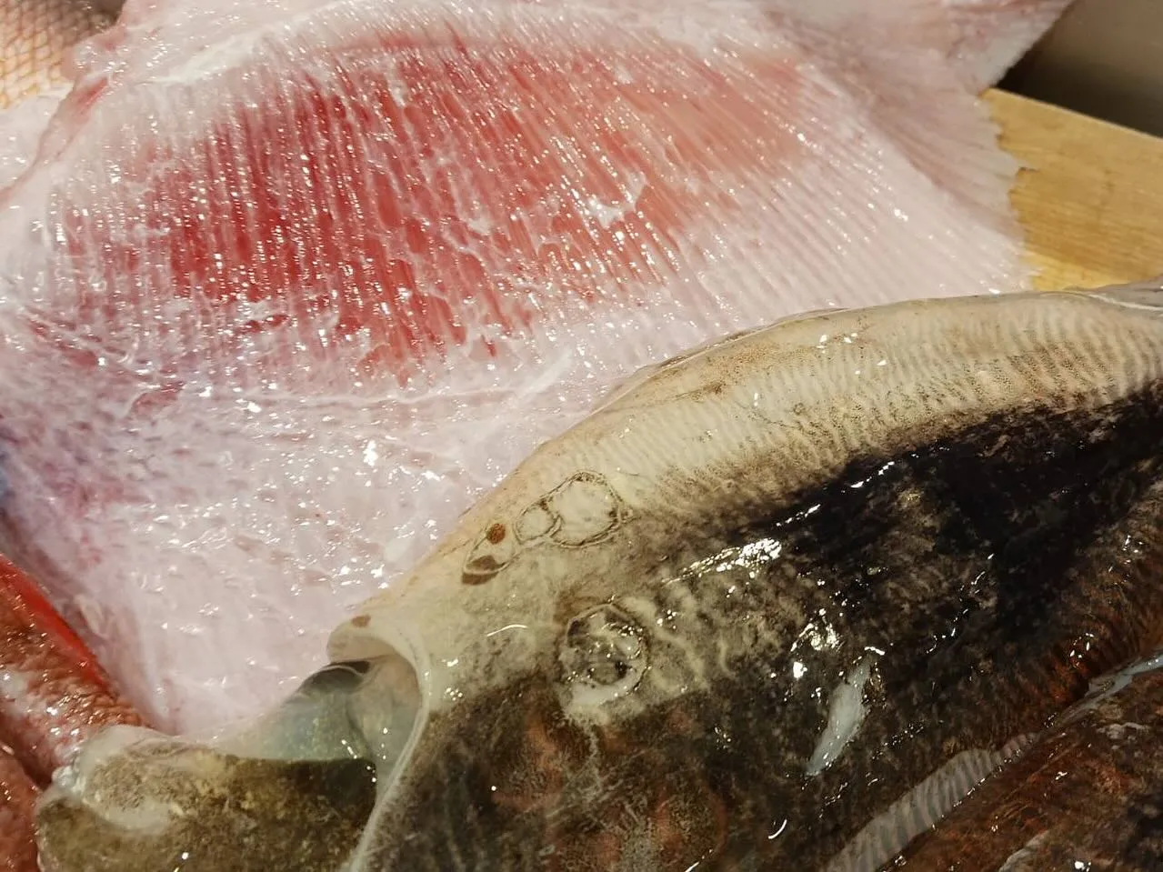 【稚鮎と季節野菜の天婦羅】