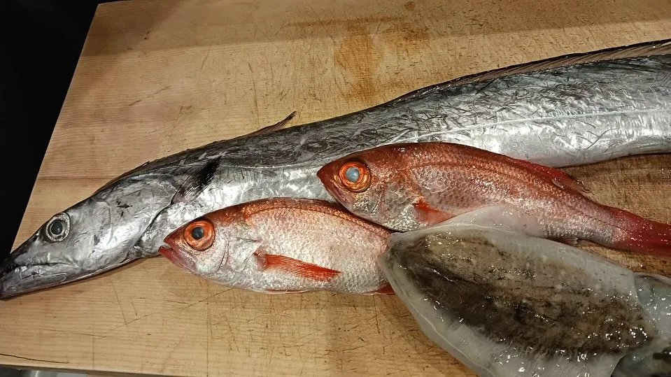 最近、初夏の陽気が続いていますね！