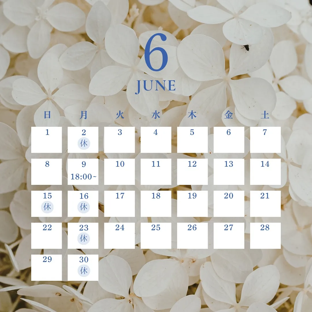 💠6月店休日のお知らせ💠