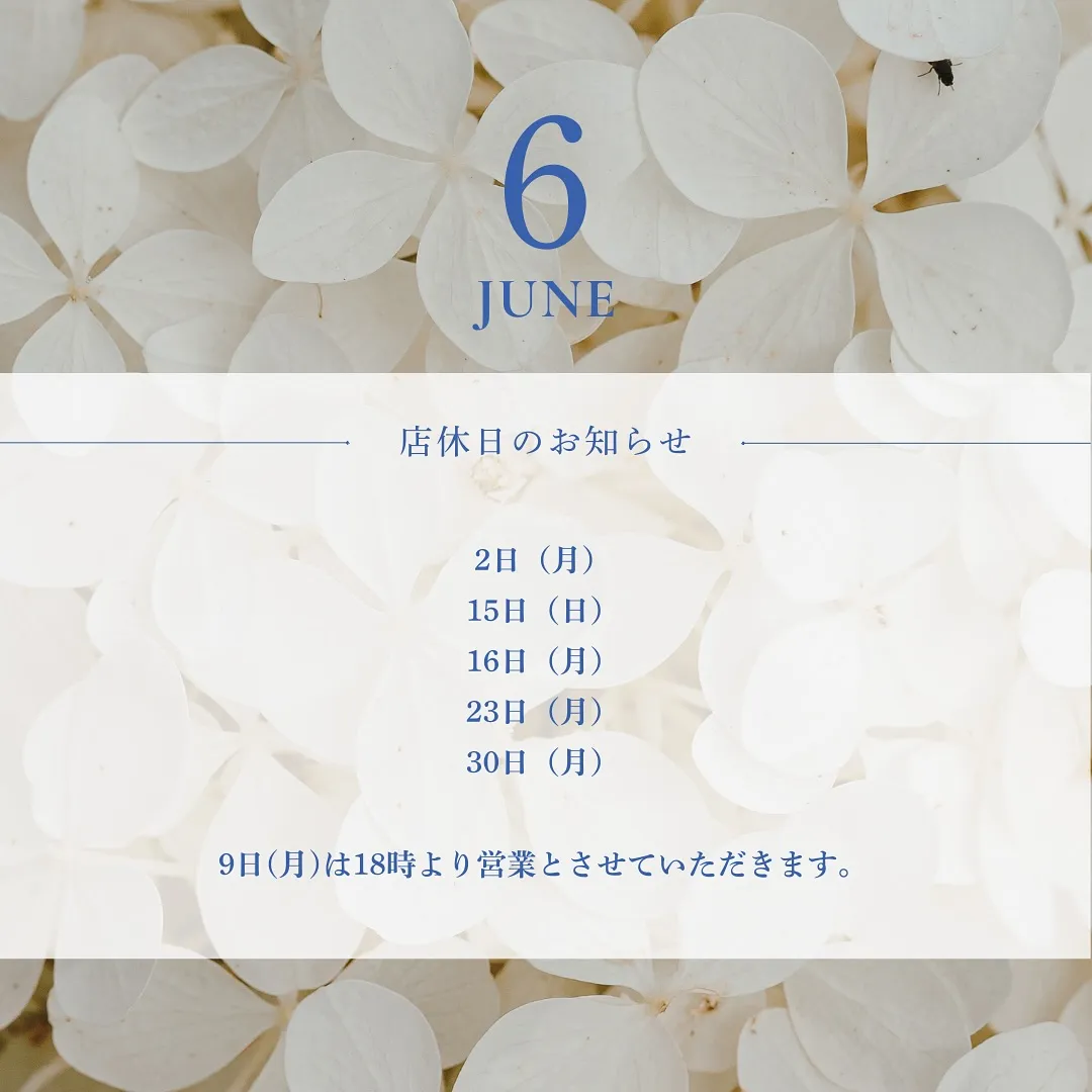 💠6月店休日のお知らせ💠
