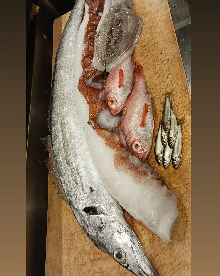稚鮎、太刀魚、北海ダコ、のどぐろ、甲烏賊