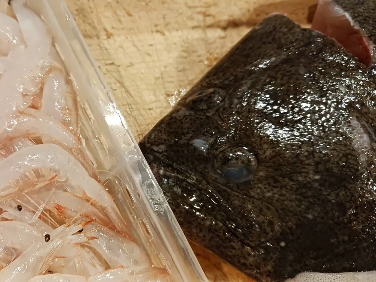 本鮪 ~新玉ねぎたまり漬け~