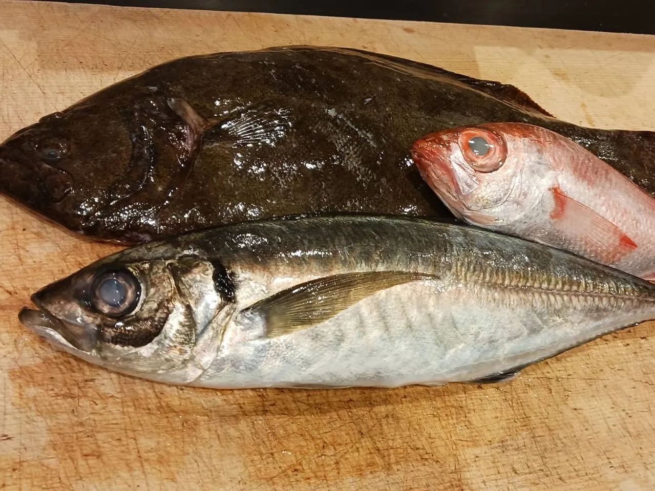 本鮪 ~新玉ねぎたまり漬け~