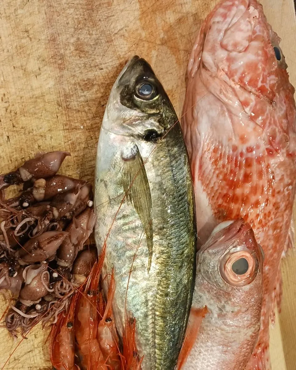 本日も色々な食材入荷しております！