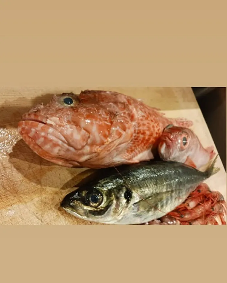 本日も色々な食材入荷しております！