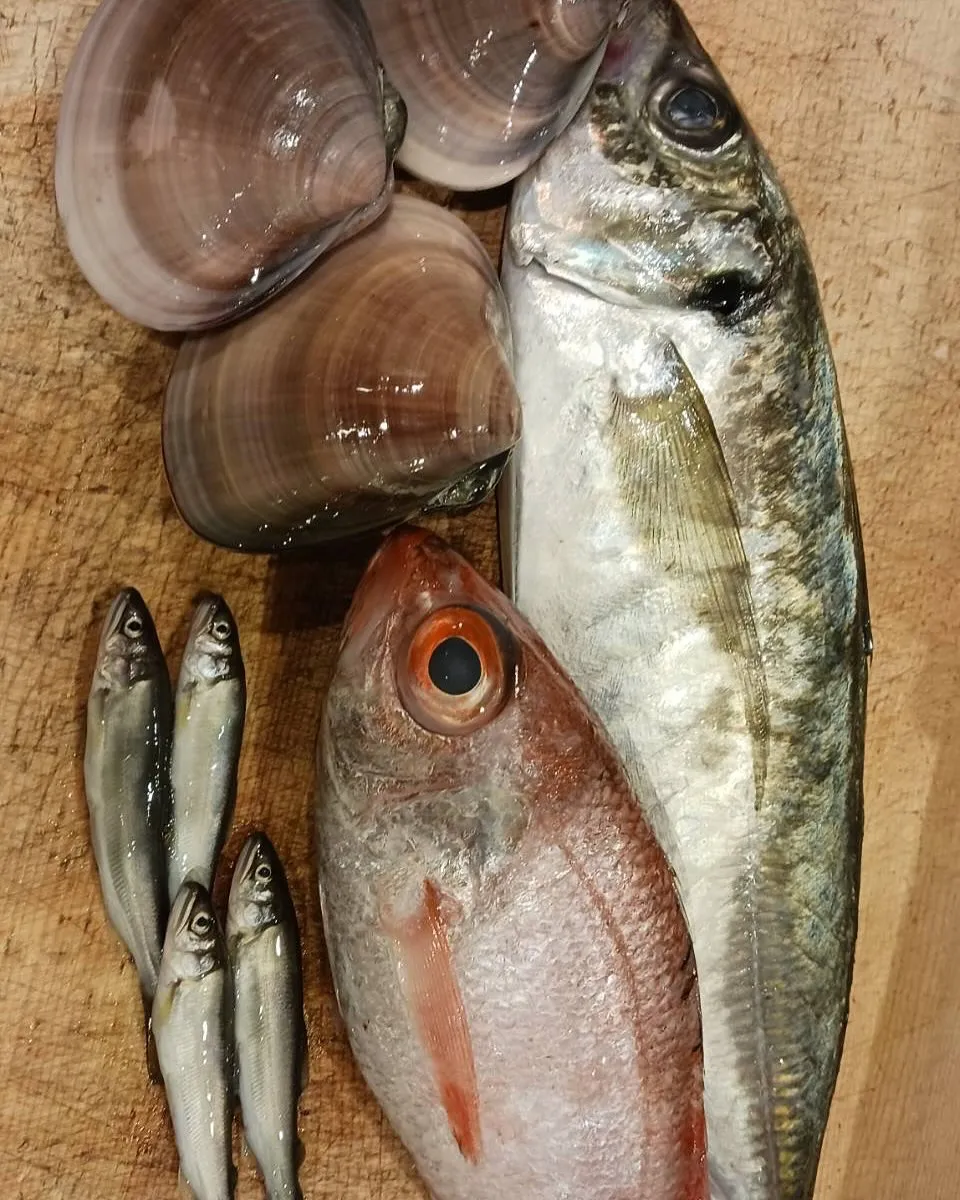 5月最終日ですね！