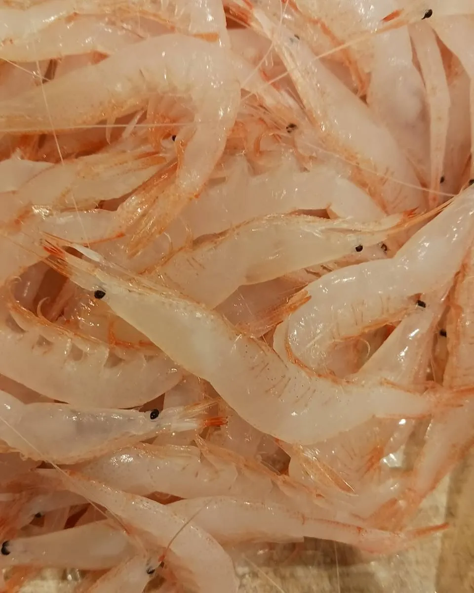 5月最終日ですね！