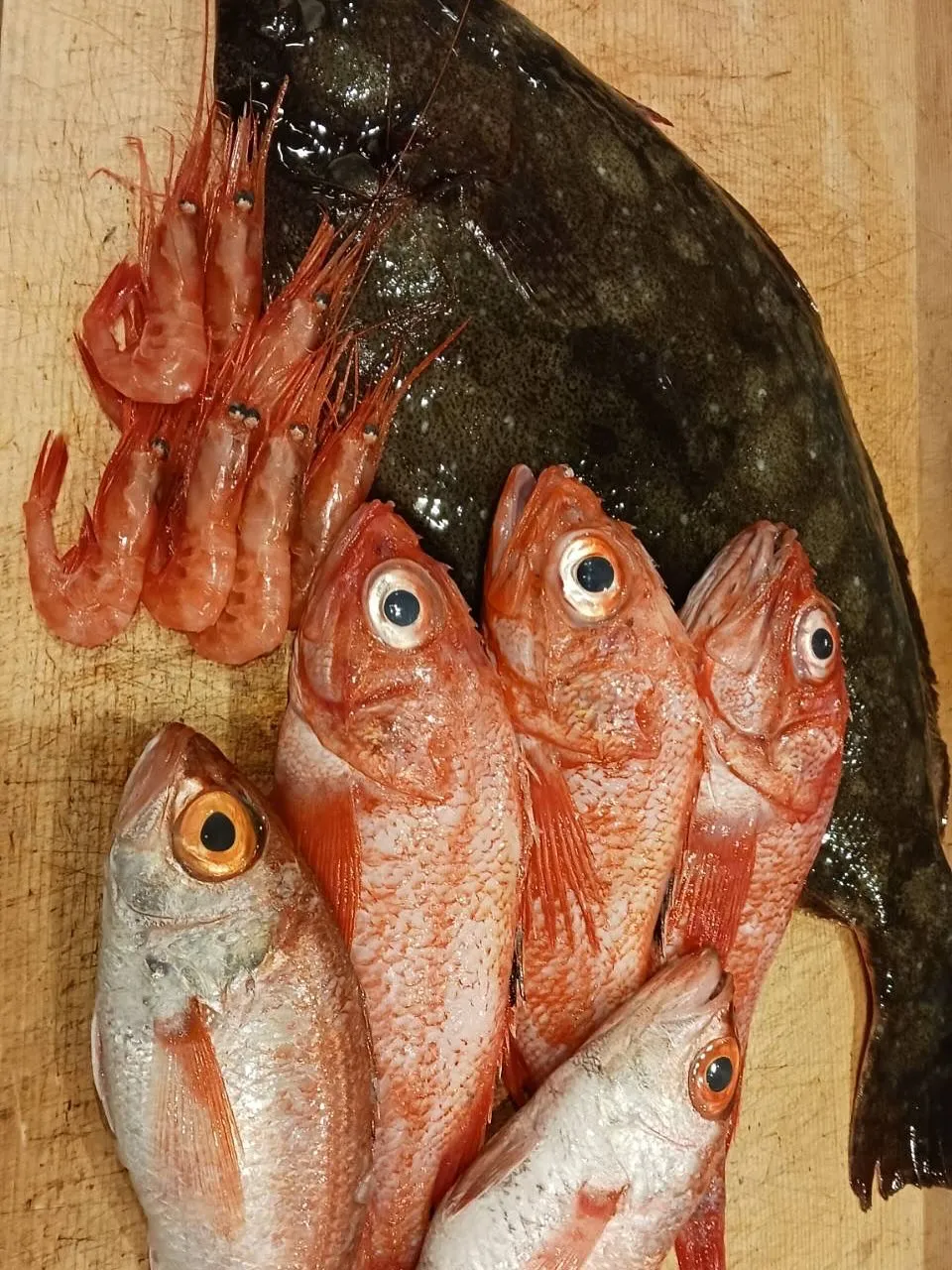 【甲烏賊みぞれ和え】