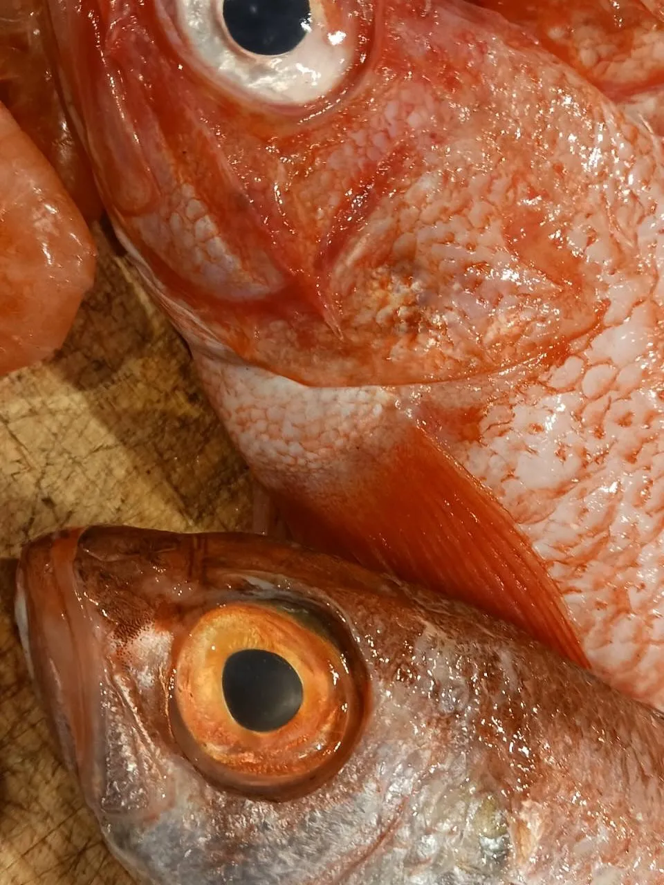 【甲烏賊みぞれ和え】