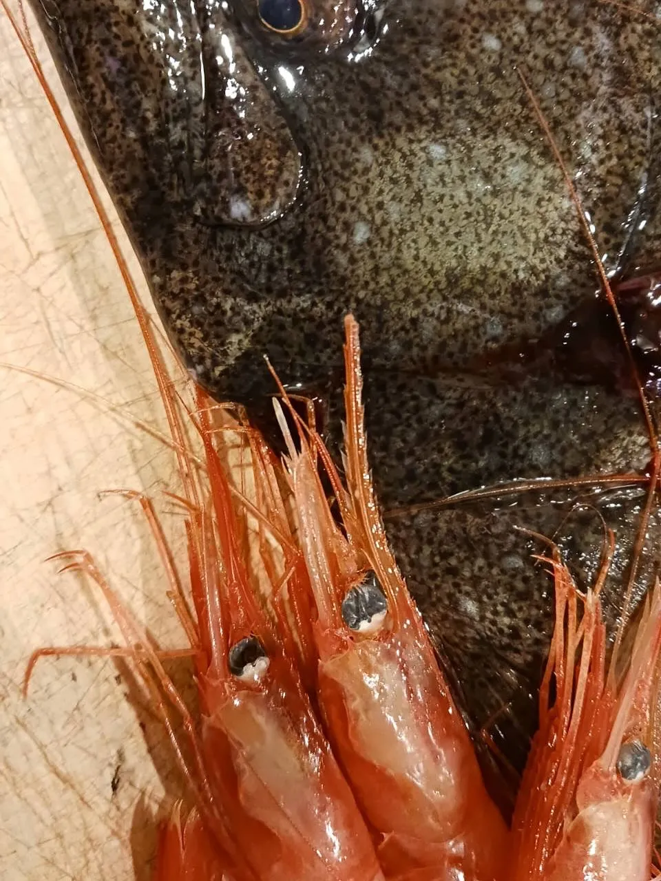 【甲烏賊みぞれ和え】