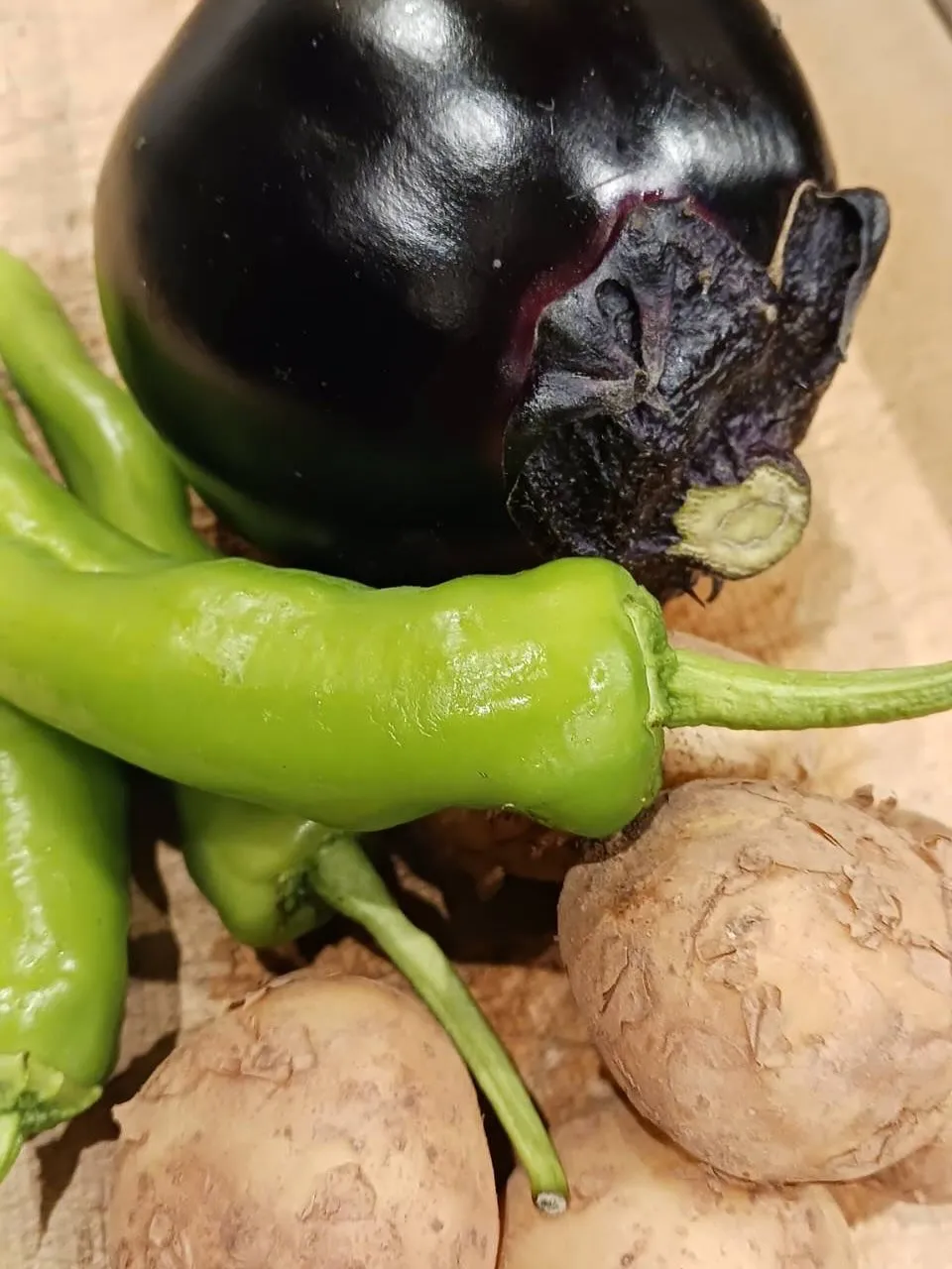 本日オススメの日本酒