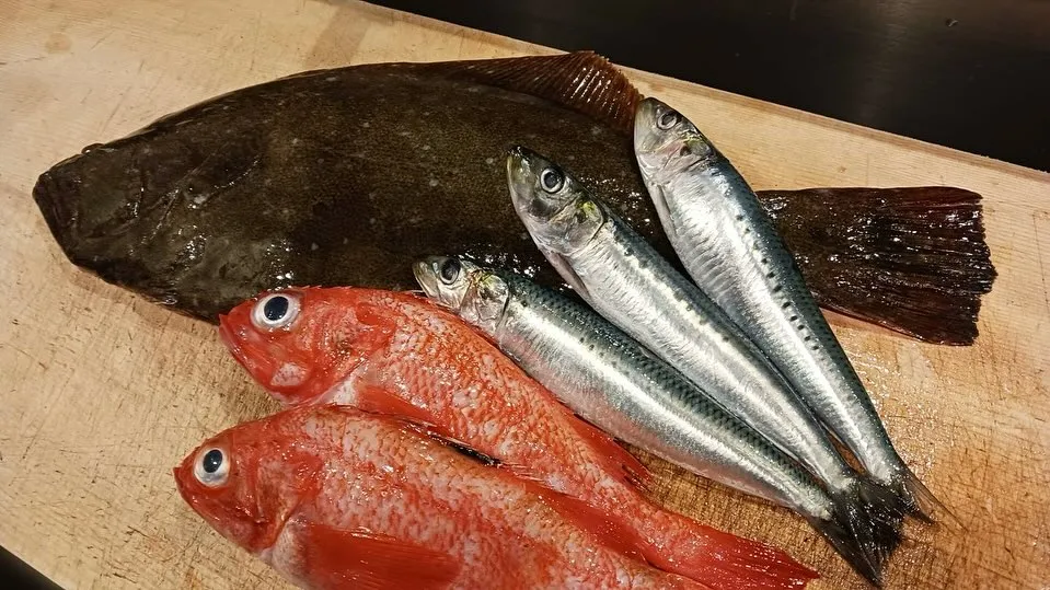 本日オススメの日本酒