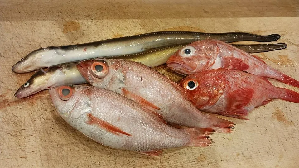 本日オススメの日本酒