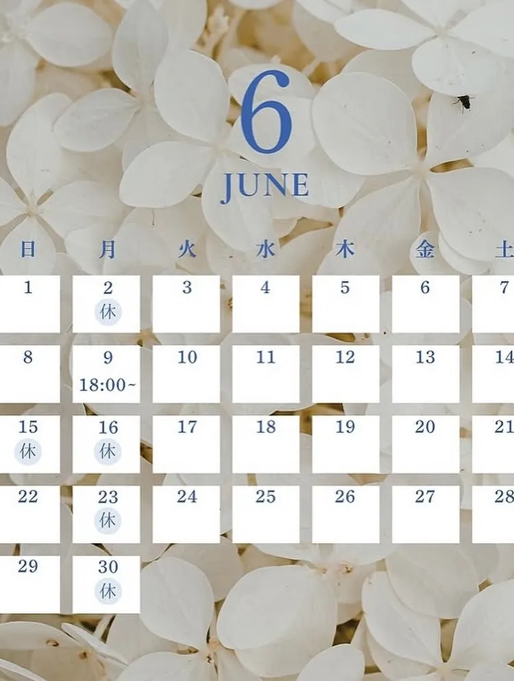 本日オススメの日本酒