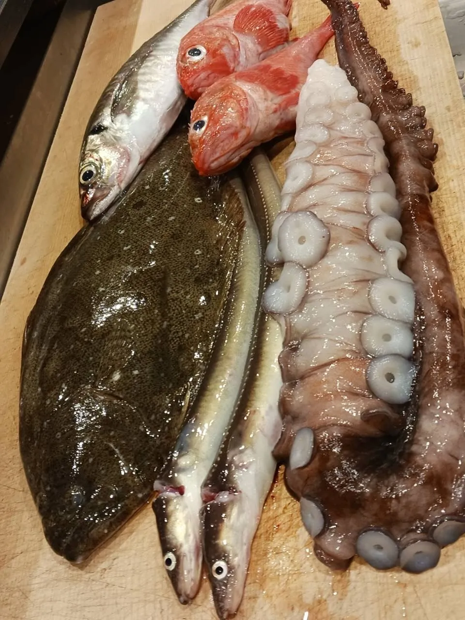 本日オススメの日本酒