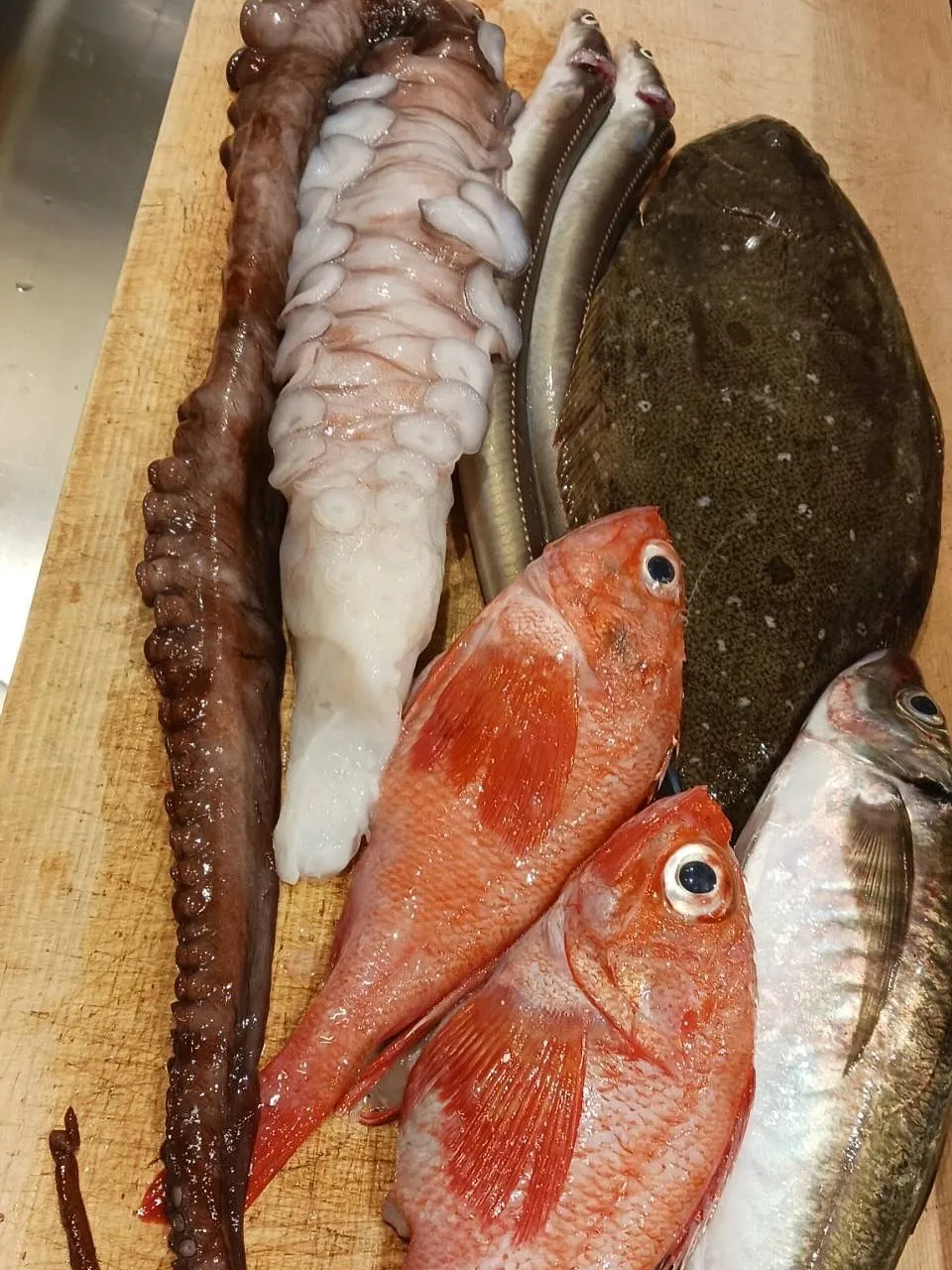 本日オススメの日本酒