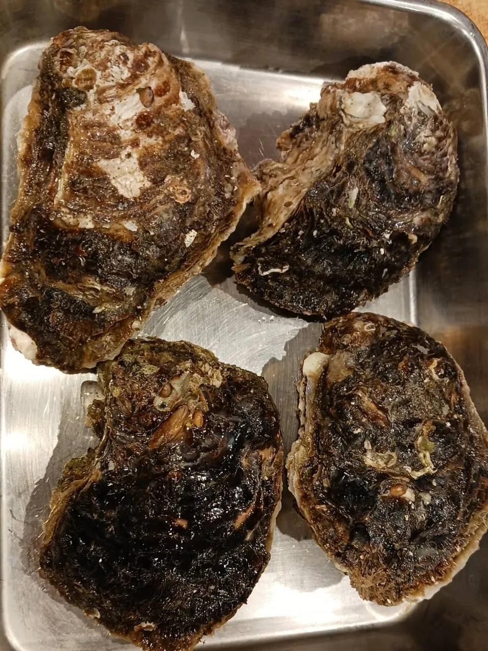 本日から岩牡蠣、ご用意しております！