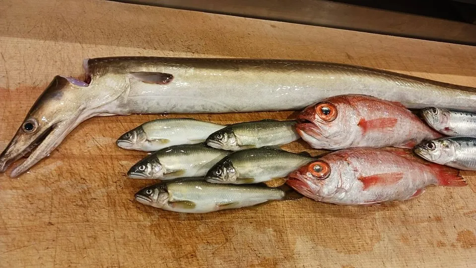 本日も新鮮な食材たくさん仕入れてます！