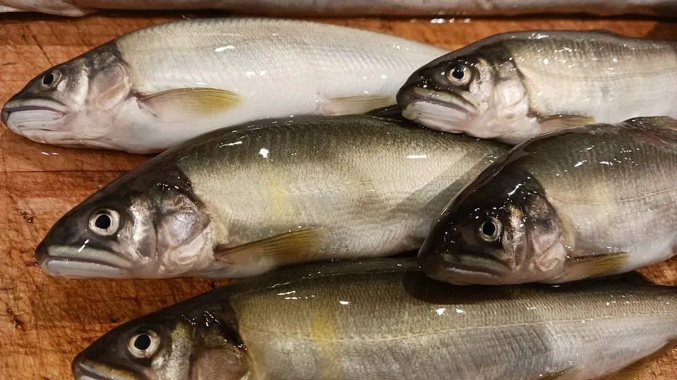 本日も新鮮な食材たくさん仕入れてます！