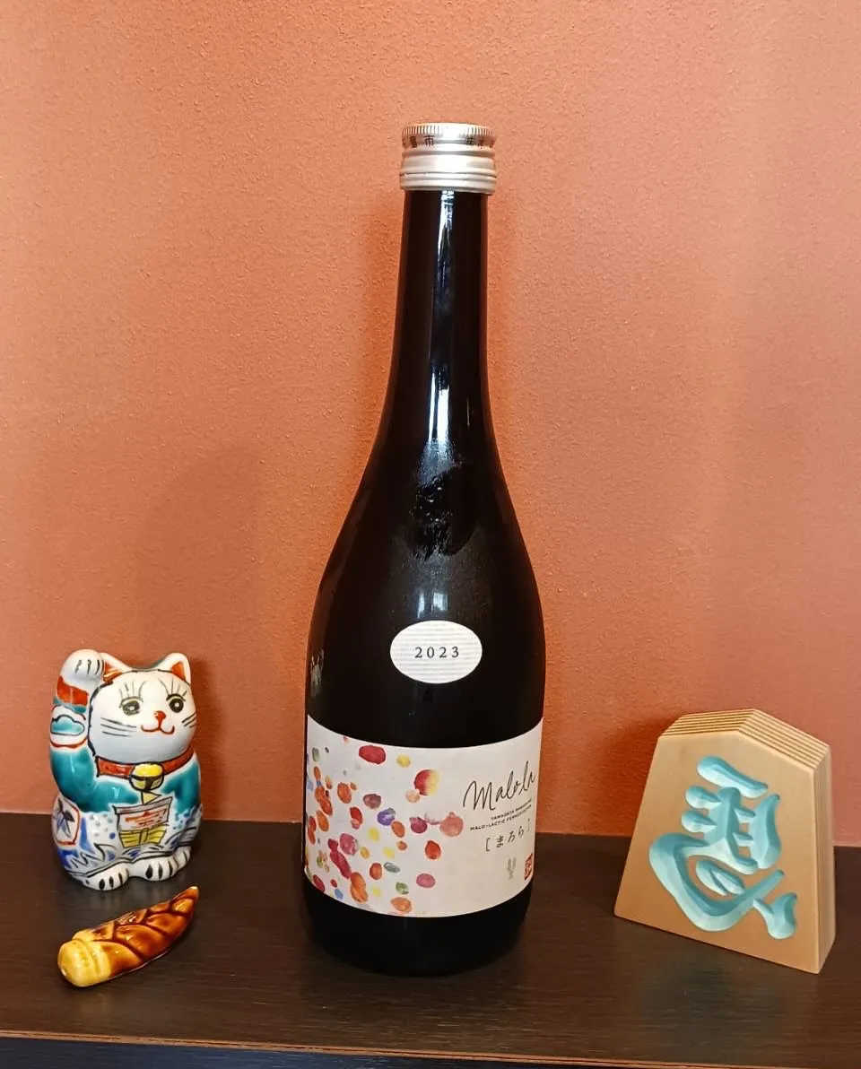 本日オススメの日本酒