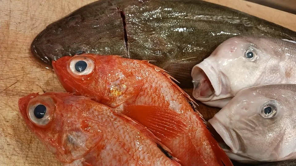 本日オススメの日本酒