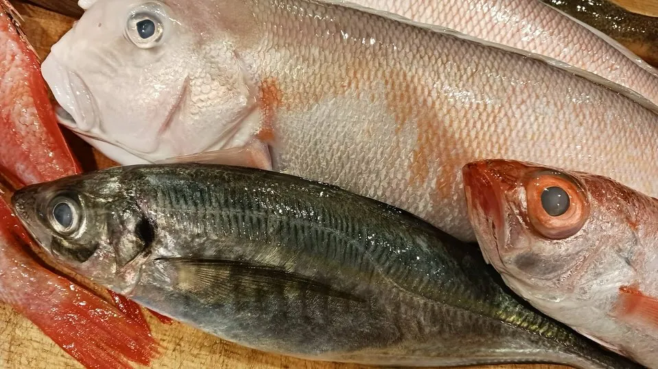 本日オススメの日本酒