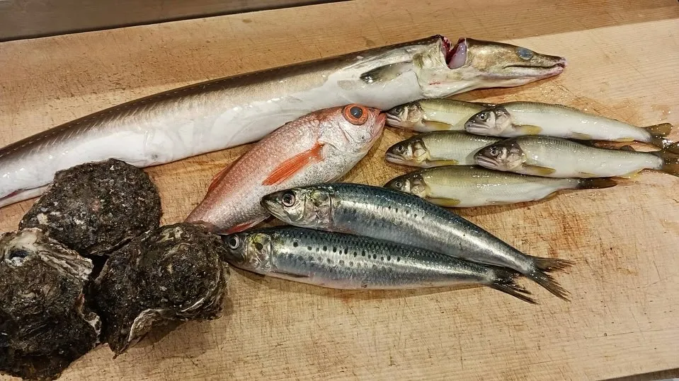 ハモ、鮎、のどぐろ、鰯、岩牡蠣