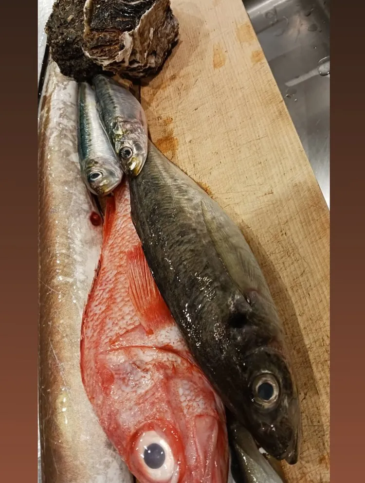 本日も新鮮な食材色々仕入れてます！