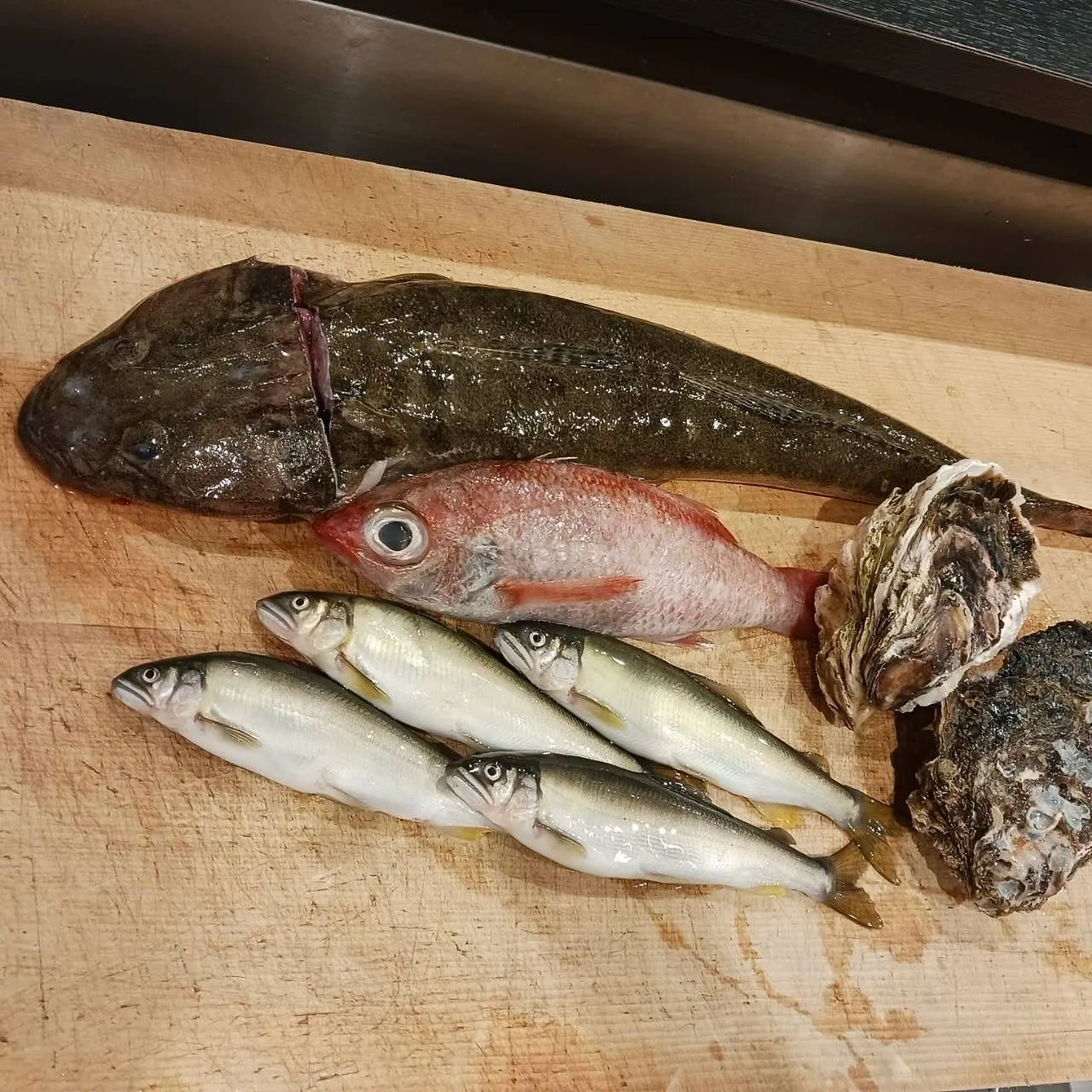 今週土曜日は丑の日です！