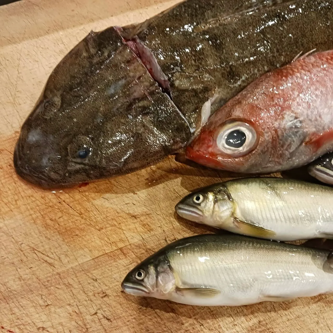 今週土曜日は丑の日です！