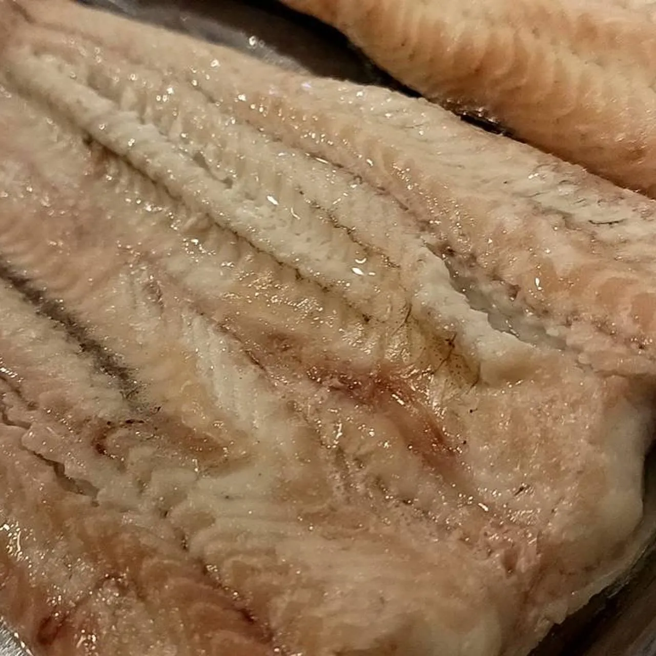 本日オススメの日本酒