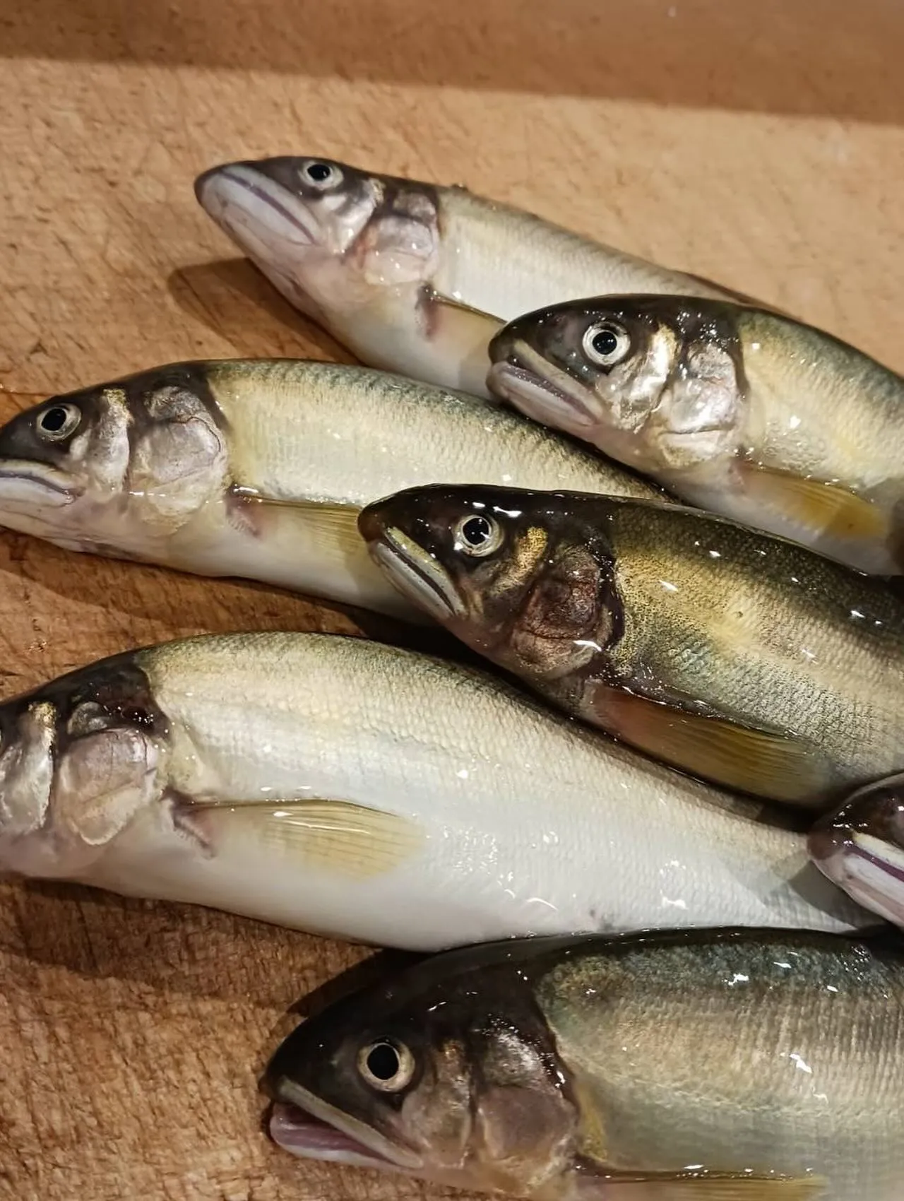 暑い日が続いていますが、涼しい店内で夏らしいメニュー、美味し...