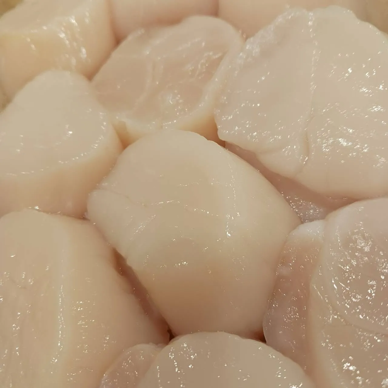 本日二の丑でございます。