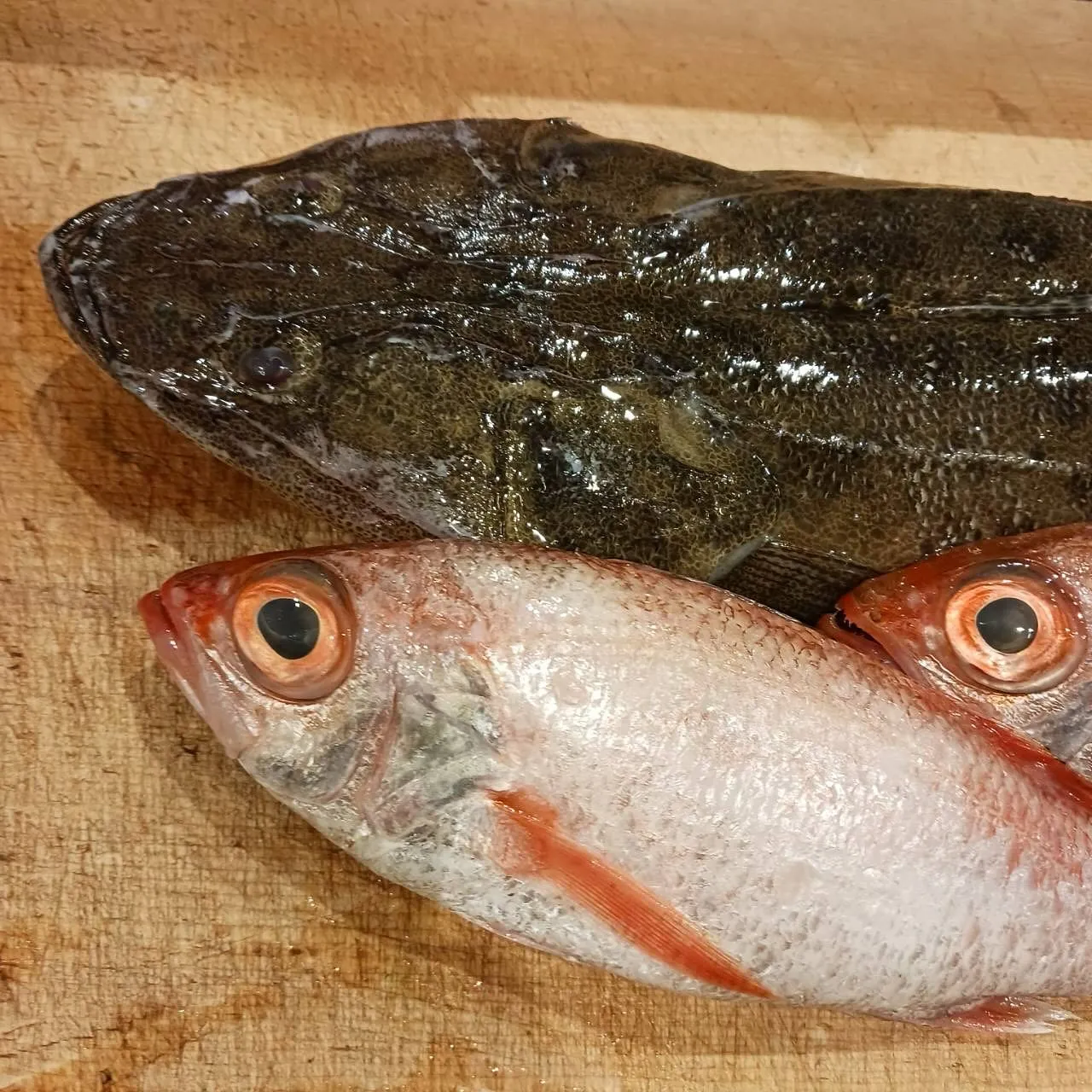 【塩水うにの温寿司】