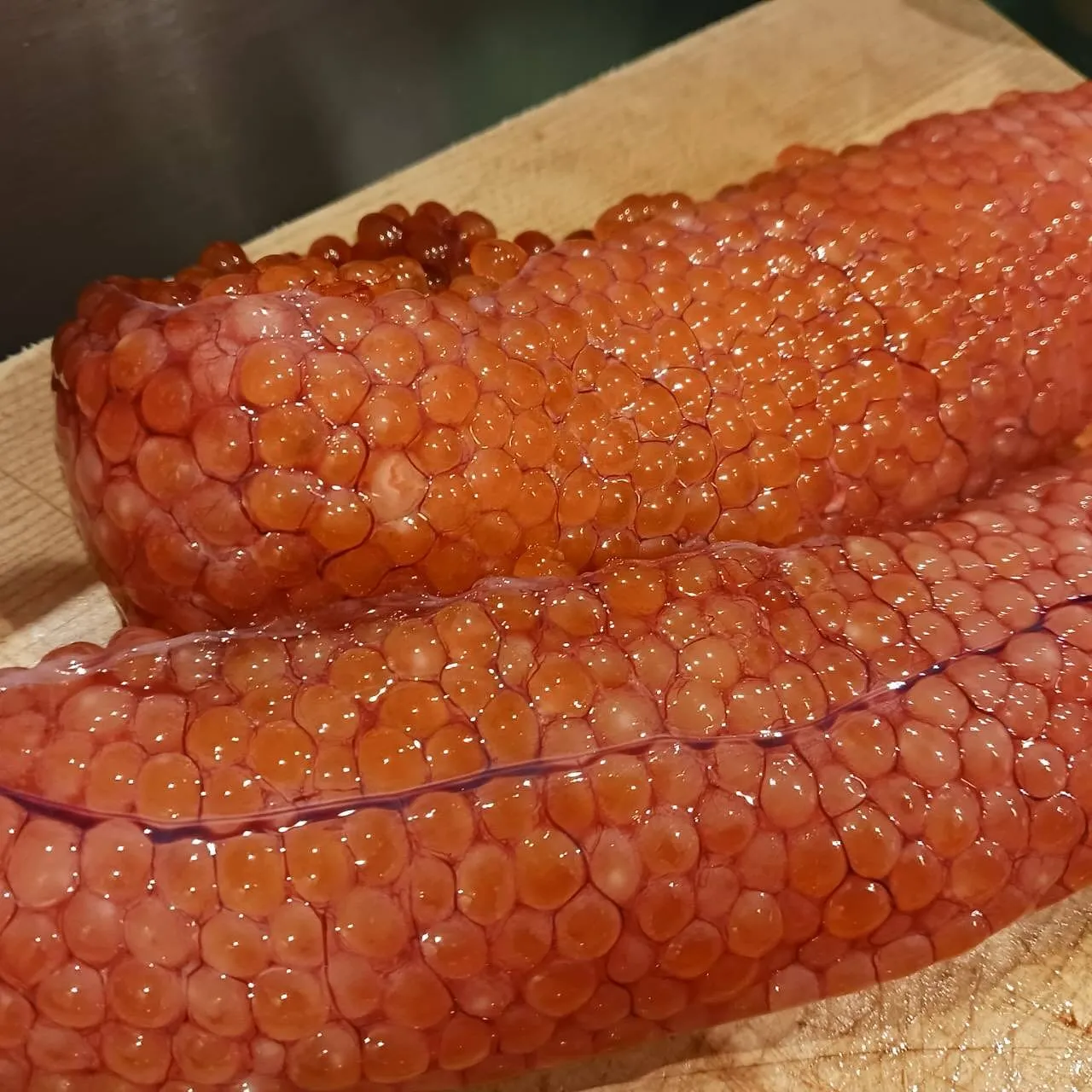 本日から営業再開します！