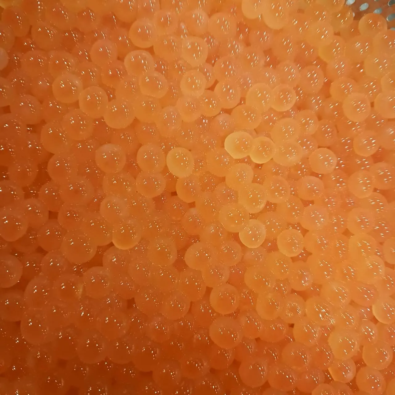 本日から営業再開します！