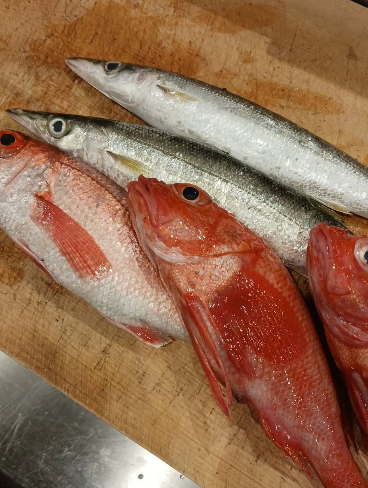 おすすめの逸品料理